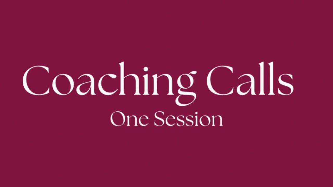 Single Mentorship Session